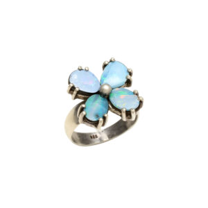 Jaipur Jewellery Shop